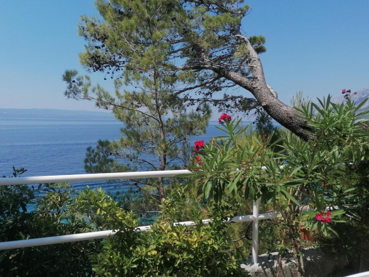 Apartmani Mares - 20 M From The Beach بريلا المظهر الخارجي الصورة
