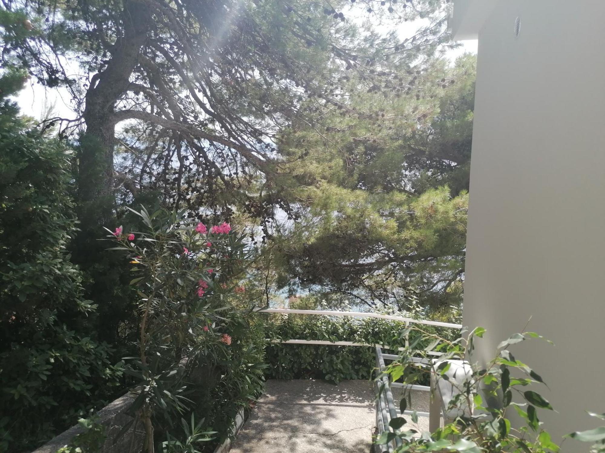 Apartmani Mares - 20 M From The Beach بريلا المظهر الخارجي الصورة